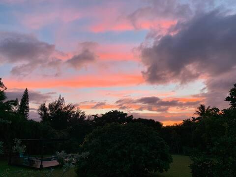 North Shore Garden Suite Haleiwa Dış mekan fotoğraf