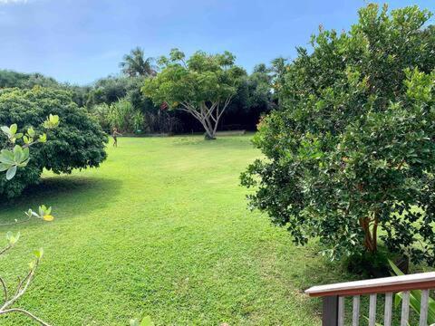 North Shore Garden Suite Haleiwa Dış mekan fotoğraf